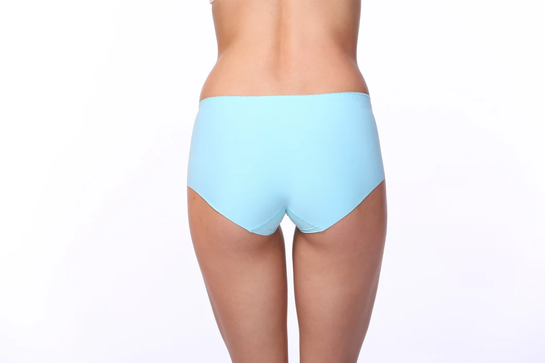 Wholesale Women Seamless Blue Branded Brief